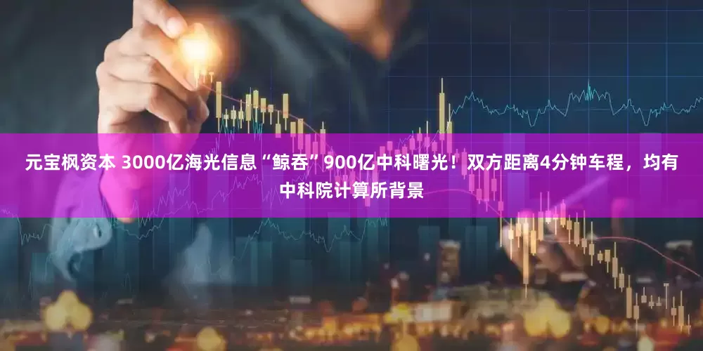 元宝枫资本 3000亿海光信息“鲸吞”900亿中科曙光！双方距离4分钟车程，均有中科院计算所背景