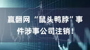 赢翻网 “鼠头鸭脖”事件涉事公司注销！