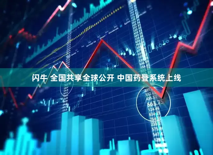 闪牛 全国共享全球公开 中国药登系统上线